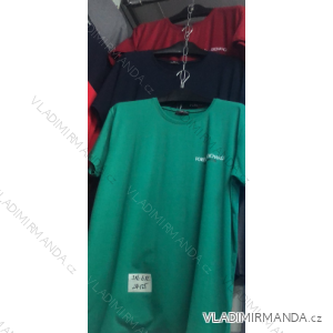 Tričko krátky rukáv pánske nadrozmer (3xl-6xl) BETNER BES2324125