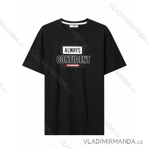 Tričko krátky rukáv pánske (M-2XL) GLO-STORY GLO24MPO-3527