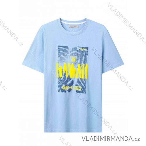 Tričko krátky rukáv pánske (M-2XL) GLO-STORY GLO24MPO-3497
