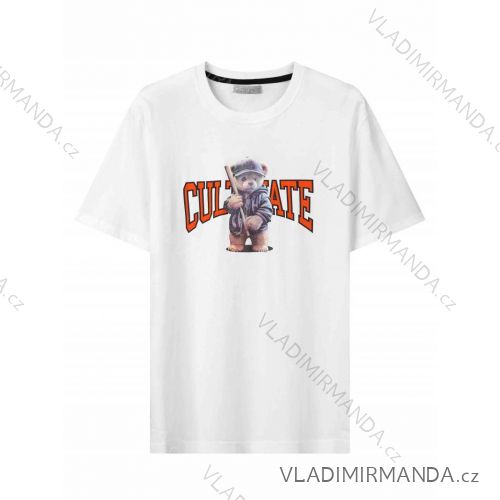 Tričko krátky rukáv pánske (M-2XL) GLO-STORY GLO24MPO-3561