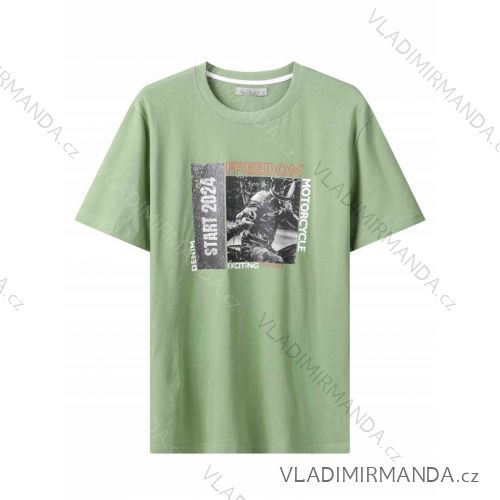 Tričko krátky rukáv pánske (M-2XL) GLO-STORY GLO24MPO-3475