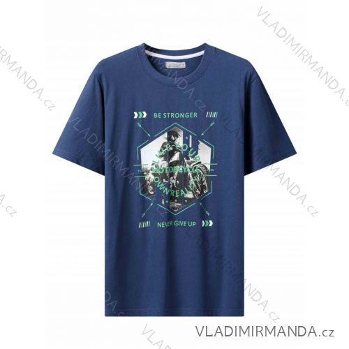 Tričko krátky rukáv pánske (M-2XL) GLO-STORY GLO24MPO-3477