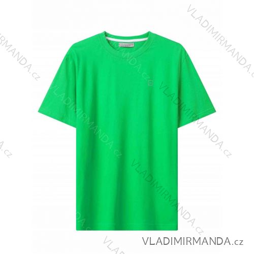 Tričko krátky rukáv pánske (M-2XL) GLO-STORY GLO24MPO-3541