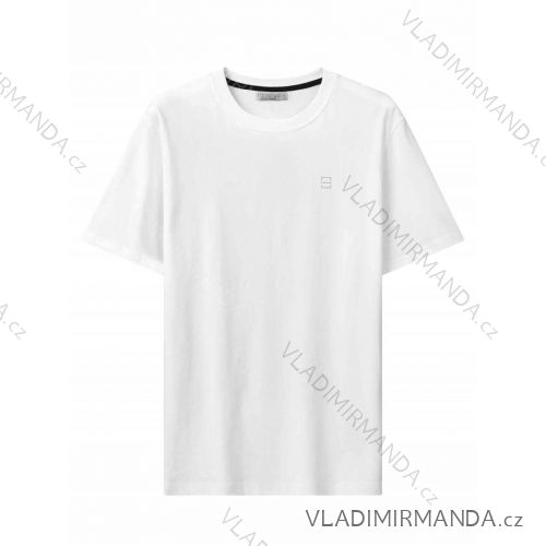 Tričko krátky rukáv pánske (M-2XL) GLO-STORY GLO24MPO-3540
