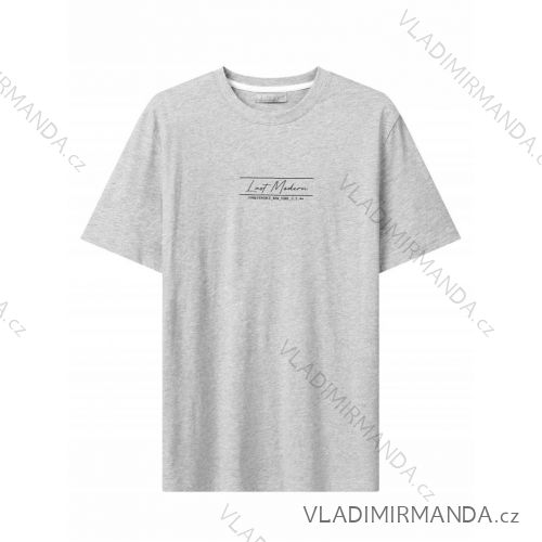 Tričko krátky rukáv pánske nadrozmer (3XL-6XL) GLO-STORY GLO24MPO-3552