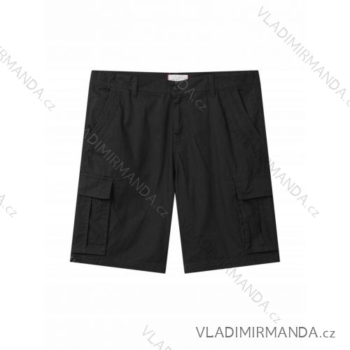 Kraťasy pánske nadrozmer (3XL-6XL) GLO-STORY GLO24MK-4393-1