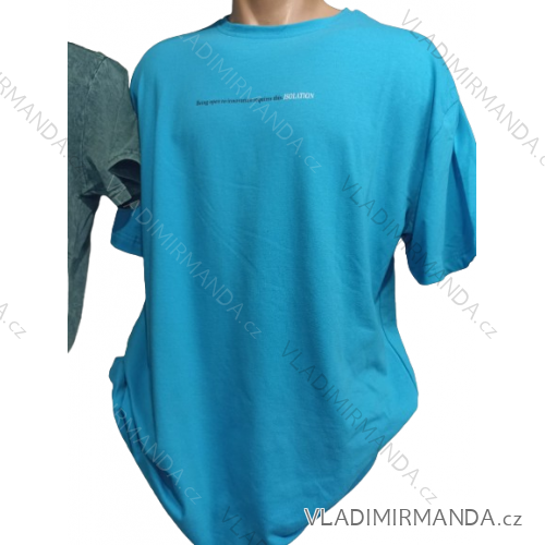 Tričko nadmerné krátky rukáv pánske (2XL-6XL) TURECKÁ MÓDA TME24TRICK3507