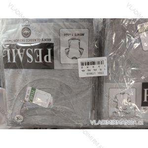 Tričko krátky rukáv pánske (L-4XL) PESAIL PES24LT301D