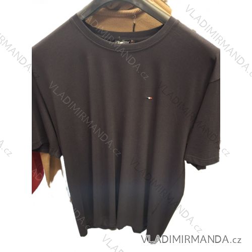 Tričko nadmerné krátky rukáv pánske (2XL-6XL) TURECKÁ MÓDA TMF24CMR6209