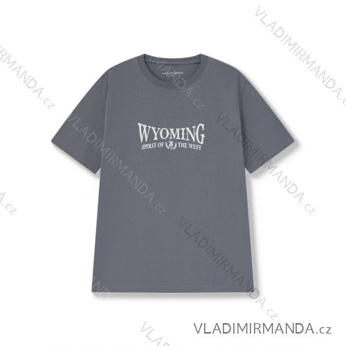 Tričko krátky rukáv pánske nadrozmer (M-3XL) WOLF S2571