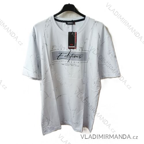 Tričko krátky rukáv pánske (M-2XL) TURECKÁ MÓDA TME24TR9743