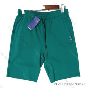 Kraťasy šortky pánske (M-2XL) BENTER BES2528769