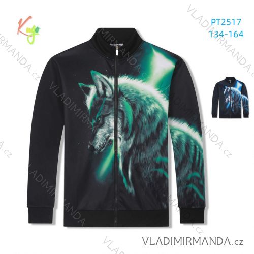 Mikina teplá dlhý rukáv dorast chlapčenská (134-164) KUGO PT2517