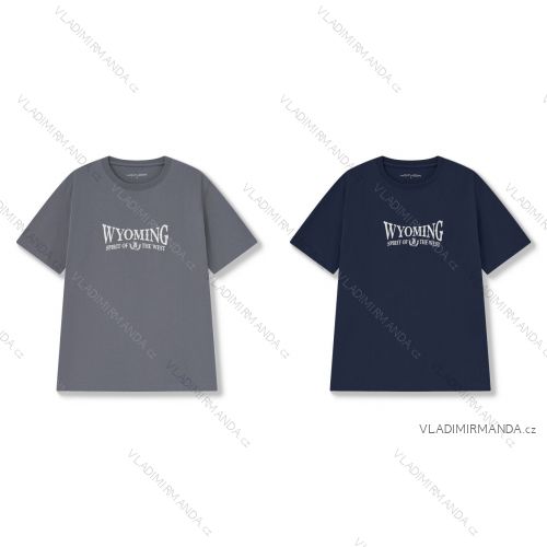 Tričko krátky rukáv pánske nadrozmer (M-3XL) WOLF S2571/KUS