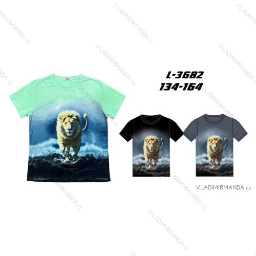 Tričko krátký rukáv dorost chlapecké (134-164) SEZON SEZ26L-3682