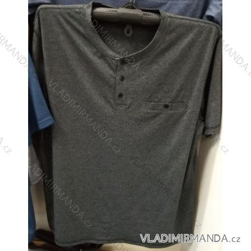 Tričko krátky rukáv pánske nadrozmerné (l-4XL) Batya BAT19PNAM-phay-CUC