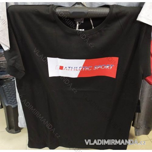 Tričko krátky rukáv pánske (m-2xl) TURECKÁ MODA OBS19129
