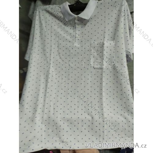 Tričko s golierom krátky rukáv pánske (l-3XL) Batya BAT21CS-CHAM-BE