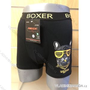 Boxerky pánske (M-3XL) BOXER BOX21JM-629