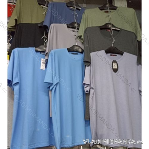 Tričko krátky rukáv pánske nadrozmer (M-2XL) BETNER BES2216858