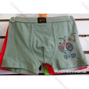 Boxerky detské Chlapčenské (6-12 rokov) WD WD18