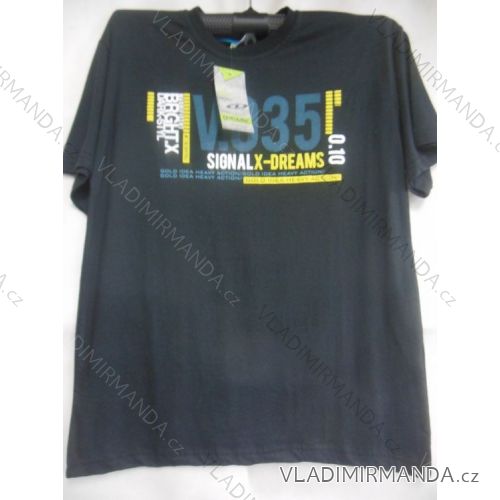 Tričko krátky rukáv Pánske bavlnené (m-2xl) OBSESS TR6