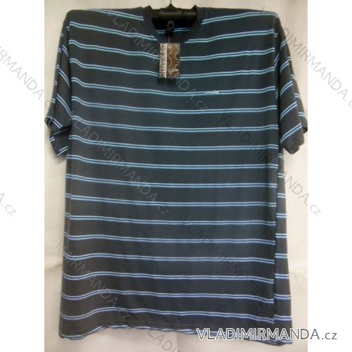 Tričko krátky rukáv nadrozmerné pánske (3XL-6XL) OBSESS 473004